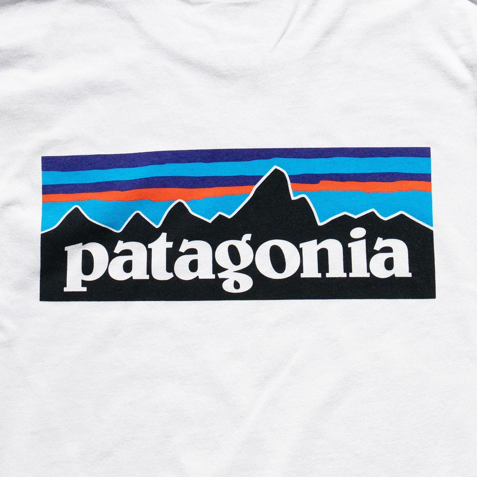 パタゴニアpatagonia長袖TシャツP-6ロゴレスポンシビリティー