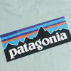 パタゴニアpatagonia半袖TシャツP-6ロゴレスポンシビリティー