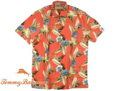 Tommy Bahama
