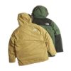 ザノースフェイスTHENORTHFACEマクマードパーカ