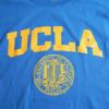 UCLAオフィシャルロゴTシャツチャンピオンボディ（メンズS-XXLChampionカレッジTシャツカリフォルニア大学海外買い付け）