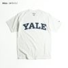 YALEオフィシャルロゴTシャツチャンピオンボディ（メンズS-XXLChampionカレッジTシャツイエール大学海外買い付け）