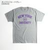 NEWYORKUNIVERSITYオフィシャルロゴTシャツチャンピオンボディ（メンズS-XXLChampionカレッジTシャツNYUニューヨーク大学海外買い付け）