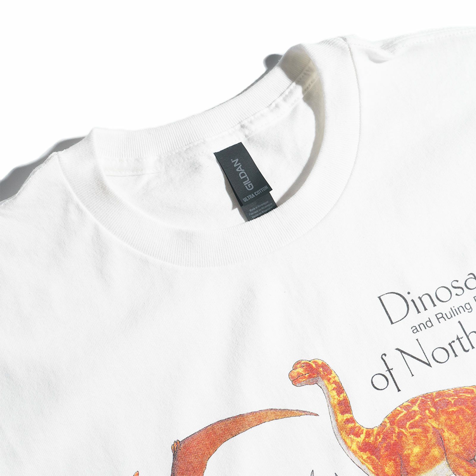 アトラススクリーンプリンティングATLASSCREENPRINTING半袖Tシャツダイナソーズオブノースアメリカ