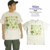 アトラススクリーンプリンティングATLASSCREENPRINTING半袖Tシャツサキュレンツ