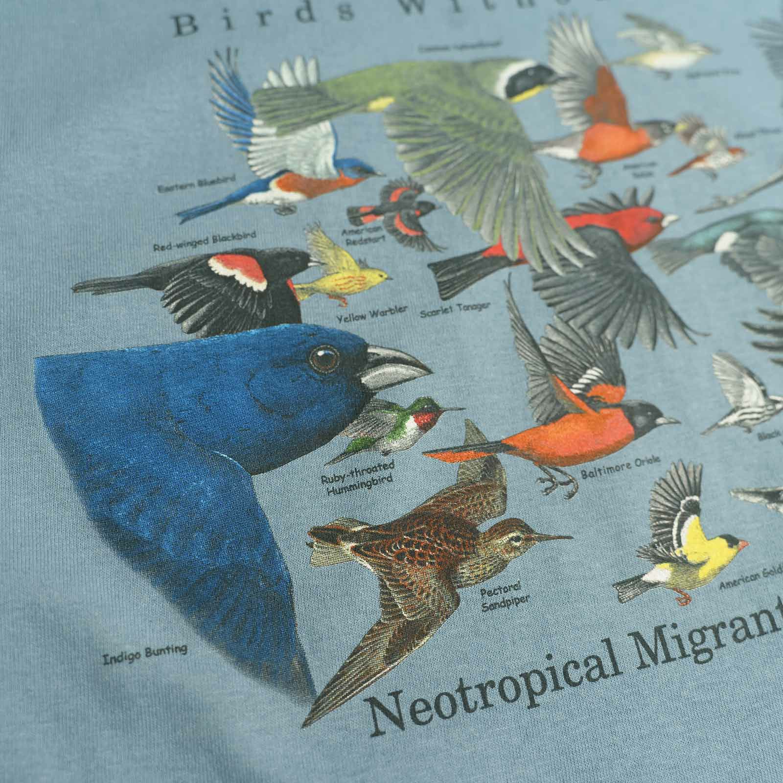 アトラススクリーンプリンティングATLASSCREENPRINTING半袖Tシャツバーズウィズアウトボーダーズ