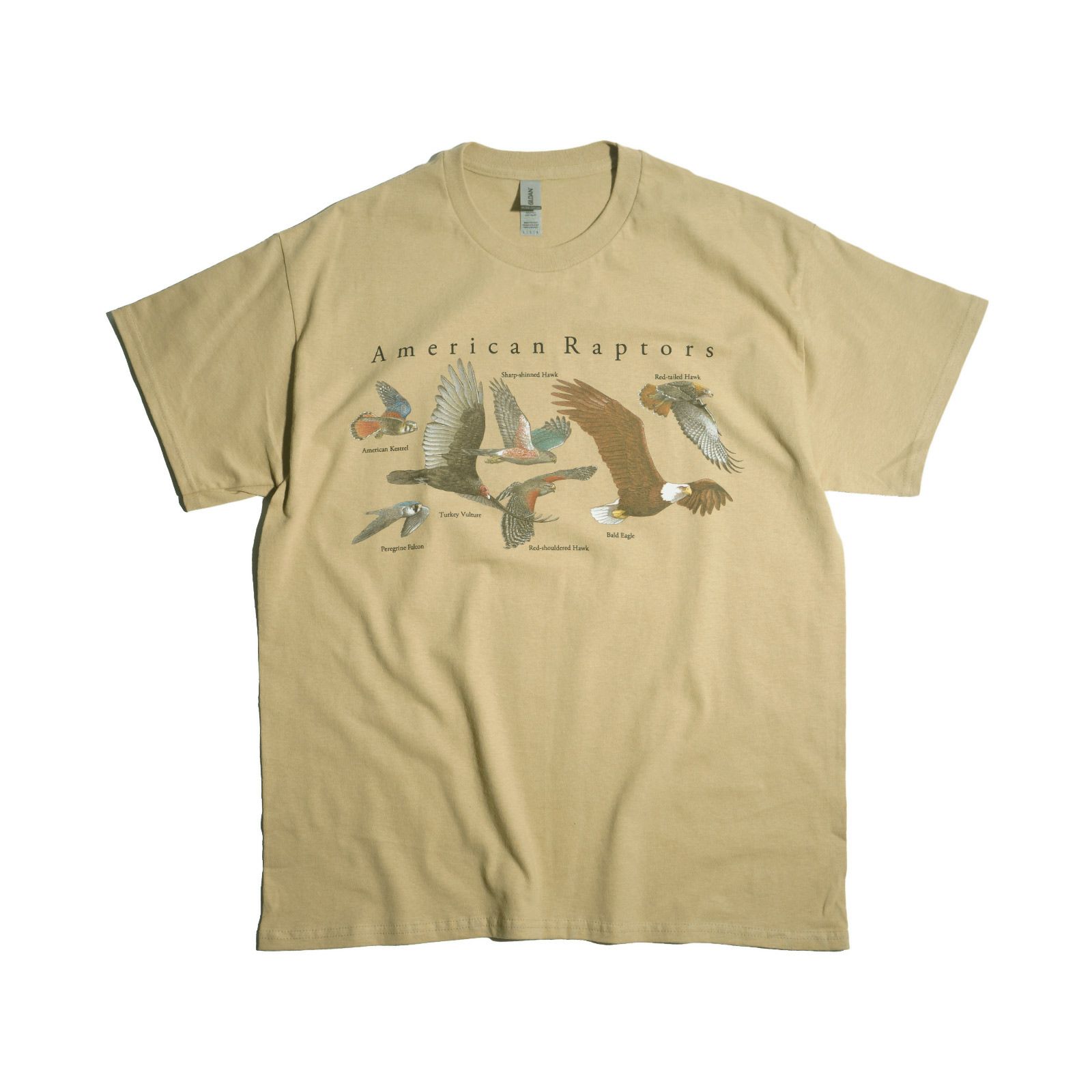 アトラススクリーンプリンティングATLASSCREENPRINTING半袖Tシャツアメリカンラプターズ