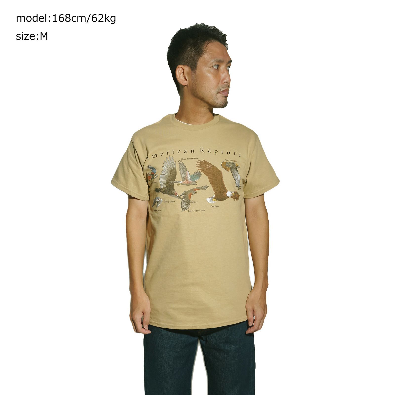 アトラススクリーンプリンティングATLASSCREENPRINTING半袖Tシャツアメリカンラプターズ