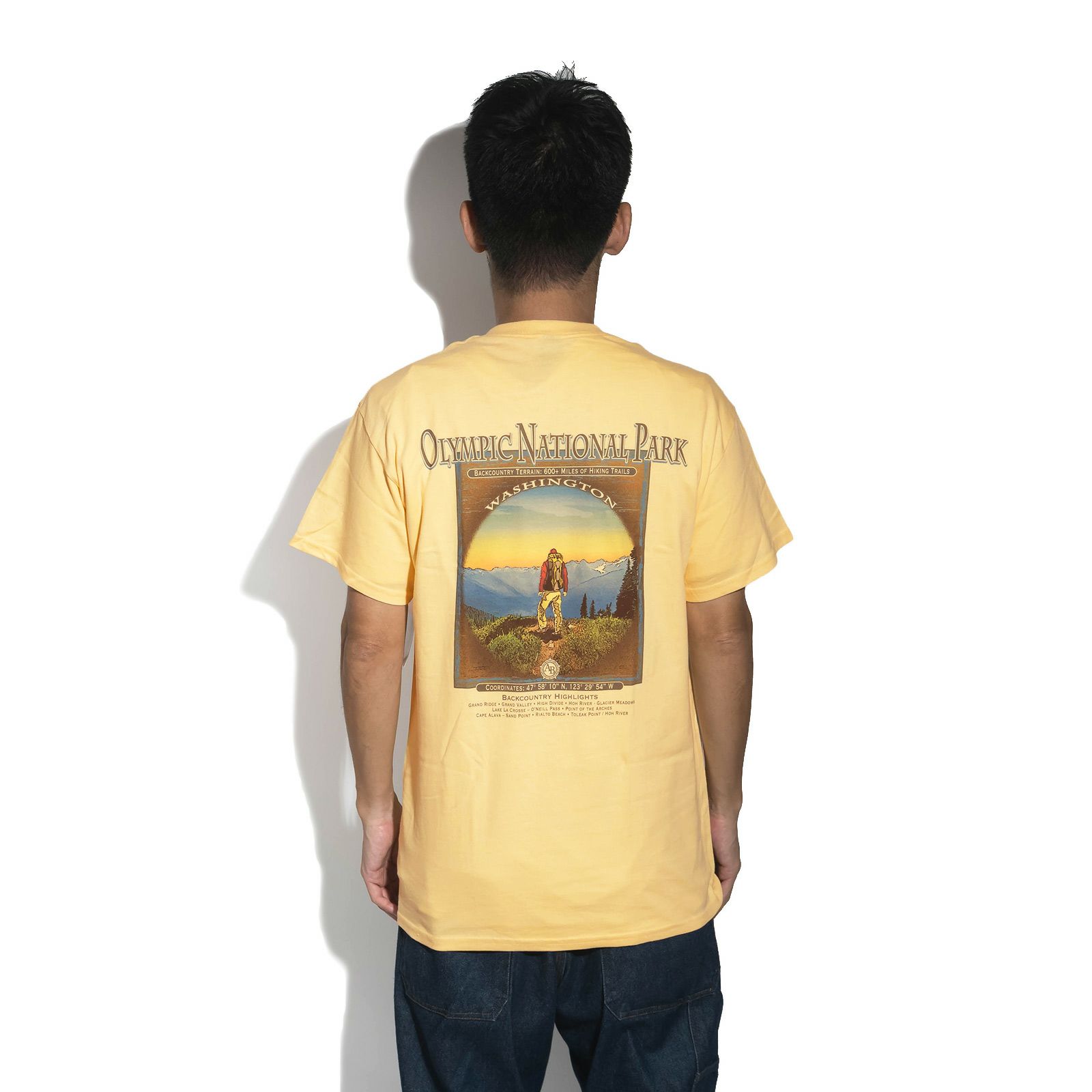 アメリカンバックカントリーAmericanBackcountry半袖Tシャツヴィンテージオリンピックナショナルパーク
