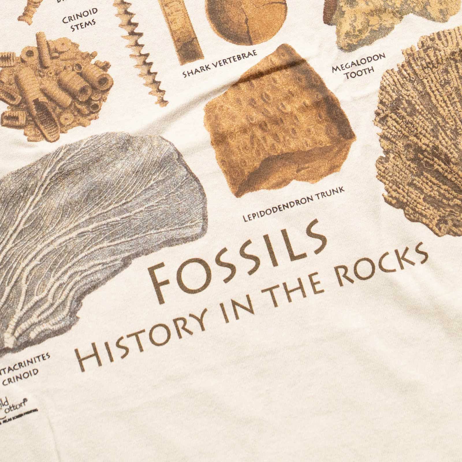 アトラススクリーンプリンティングATLASSCREENPRINTING半袖Tシャツフォッシルズガイド