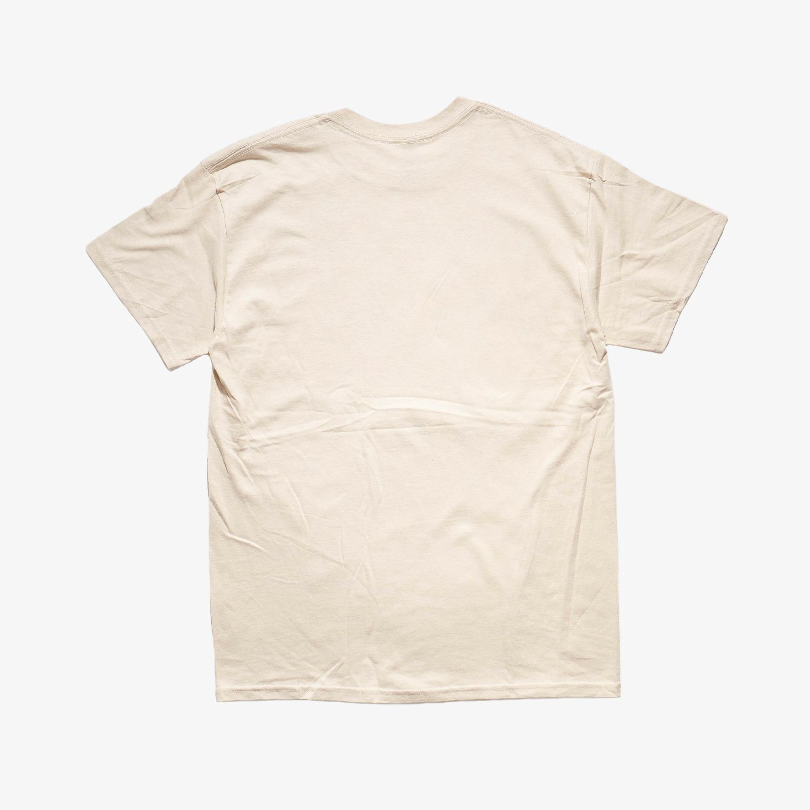 アトラススクリーンプリンティングATLASSCREENPRINTING半袖Tシャツフォッシルズガイド