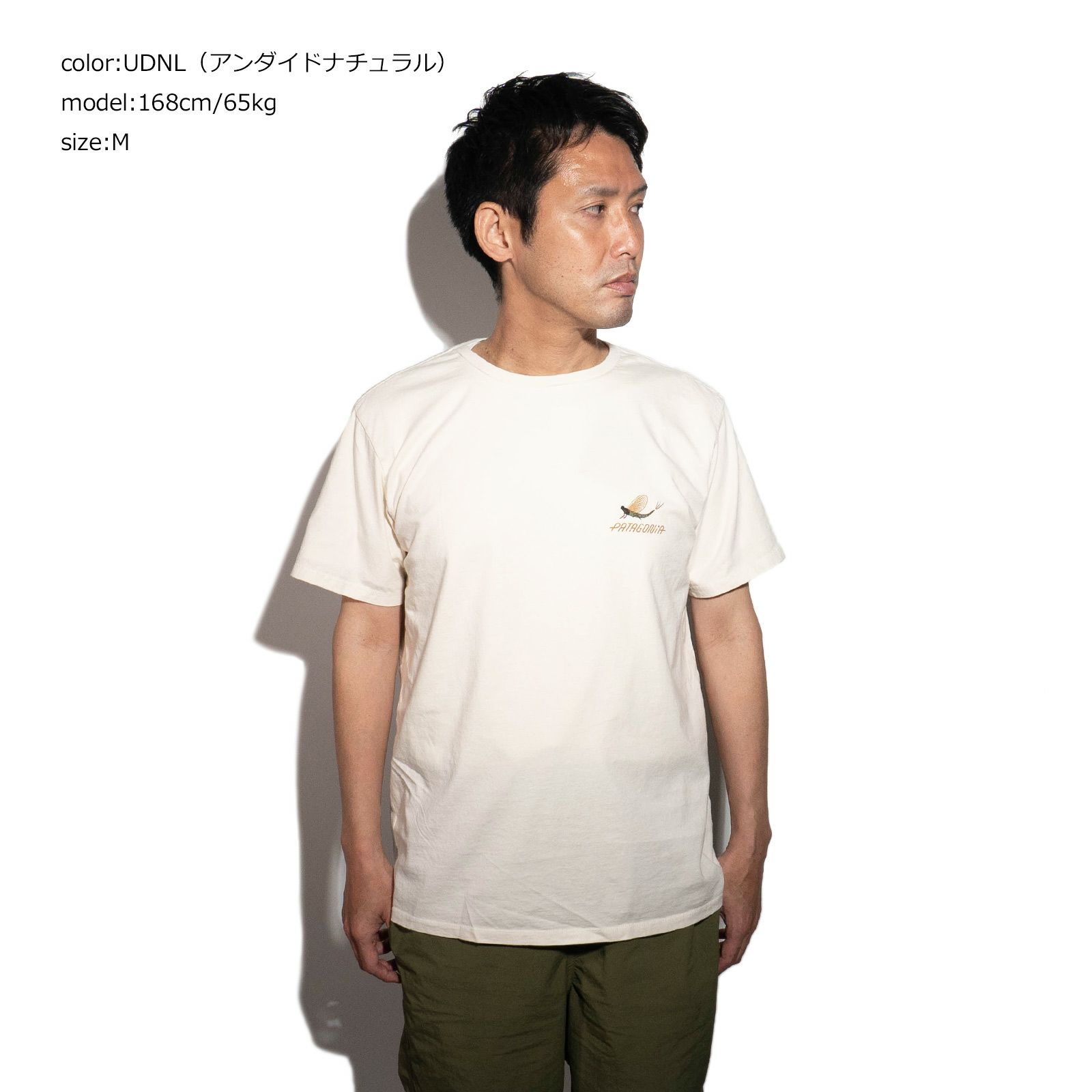 パタゴニアPATAGONIAバギーオーガニックTシャツ