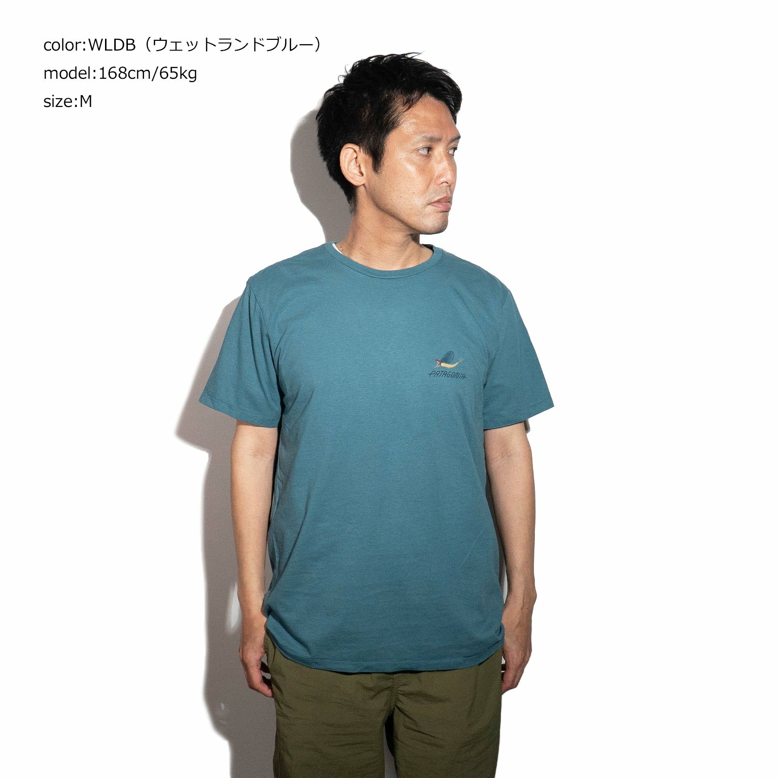 パタゴニアPATAGONIAバギーオーガニックTシャツ