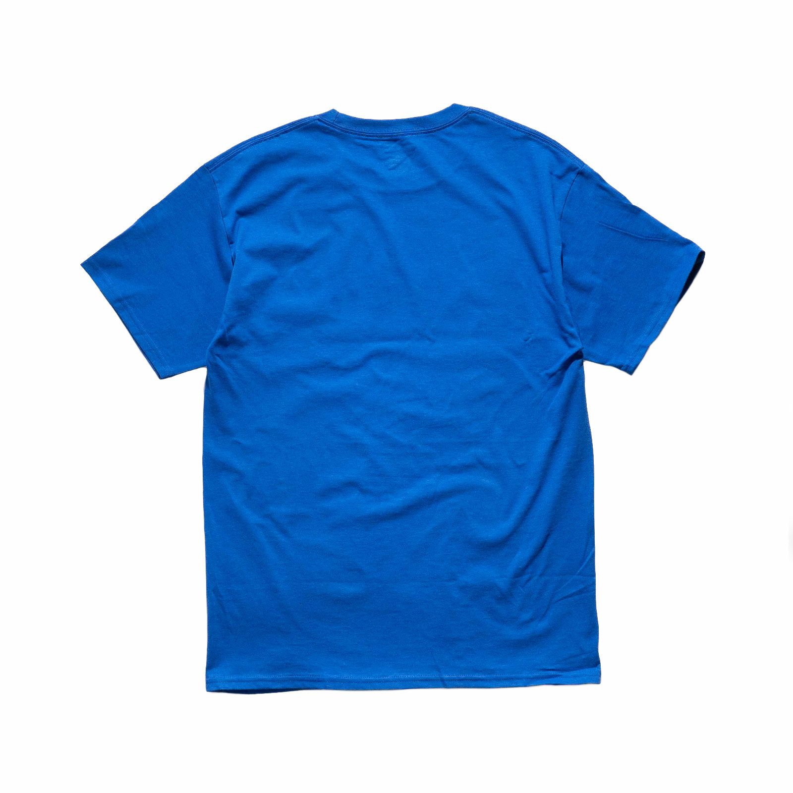 DUKEUNIVERSITYオフィシャルロゴカレッジTシャツチャンピオンボディ