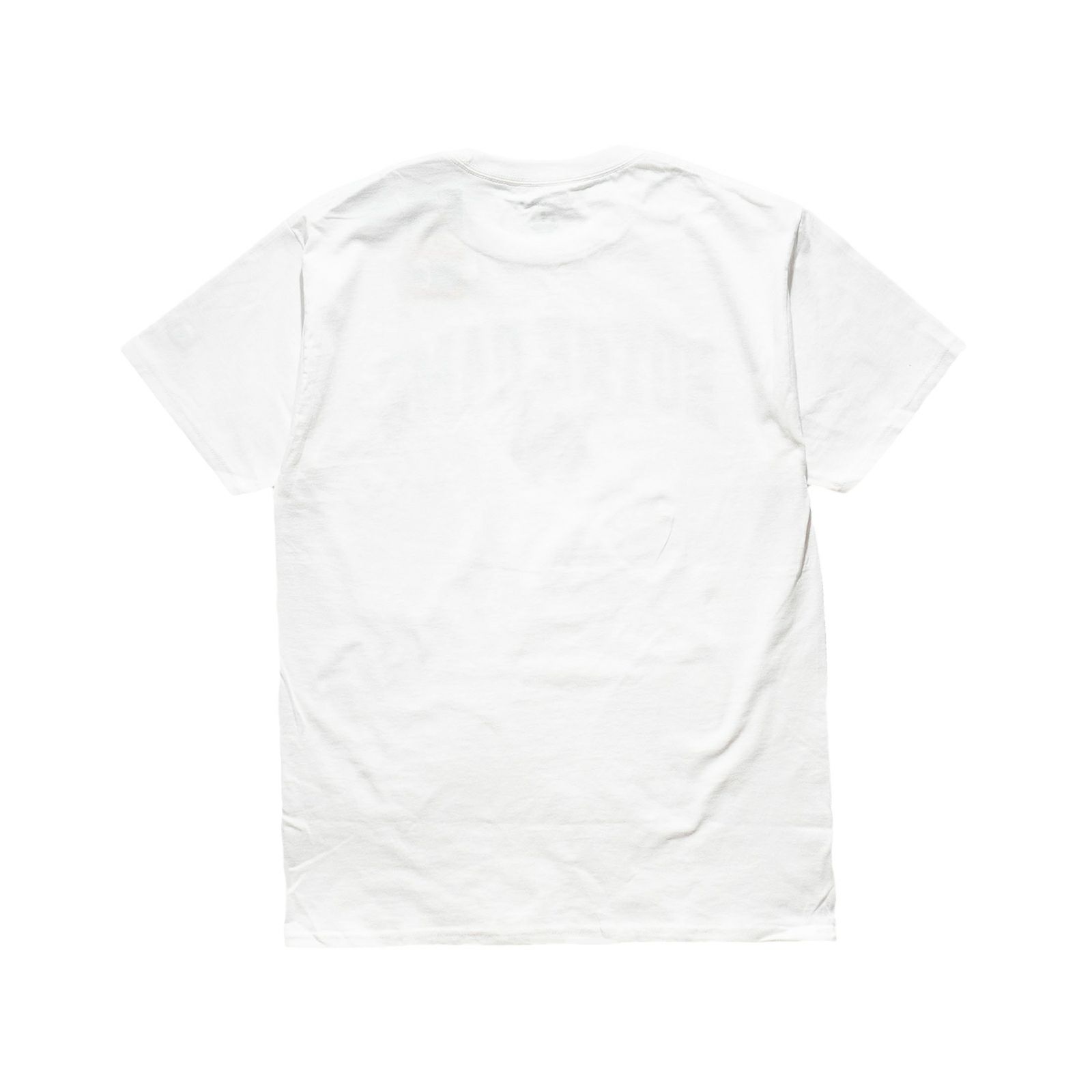 UNIVERSITYOFNOTREDAMEオフィシャルロゴカレッジTシャツチャンピオンボディ