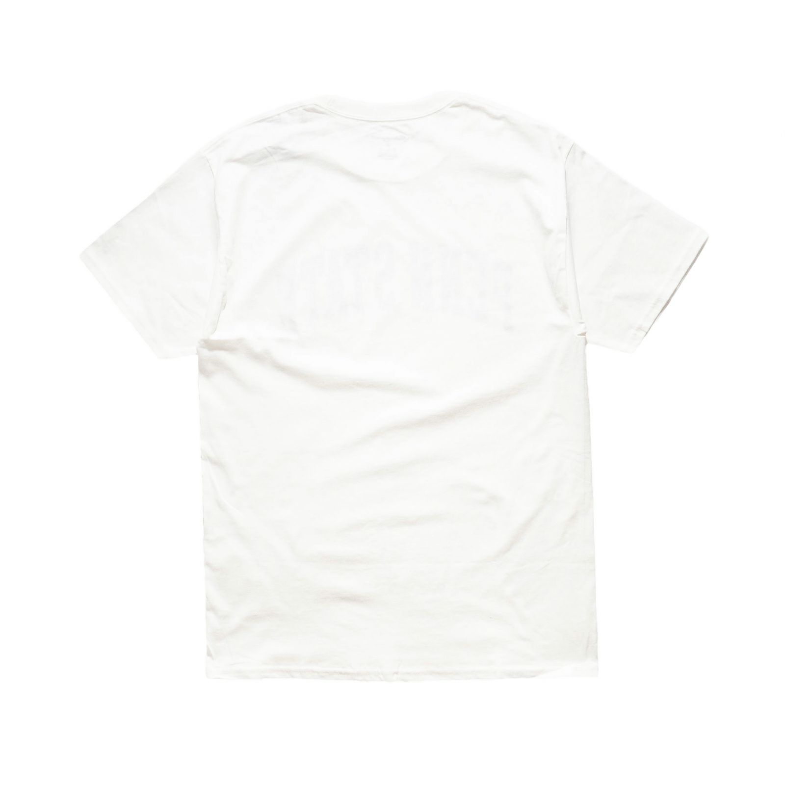 THEPENNSYLVANIASTATEUNIVERSITYオフィシャルロゴカレッジTシャツチャンピオンボディ