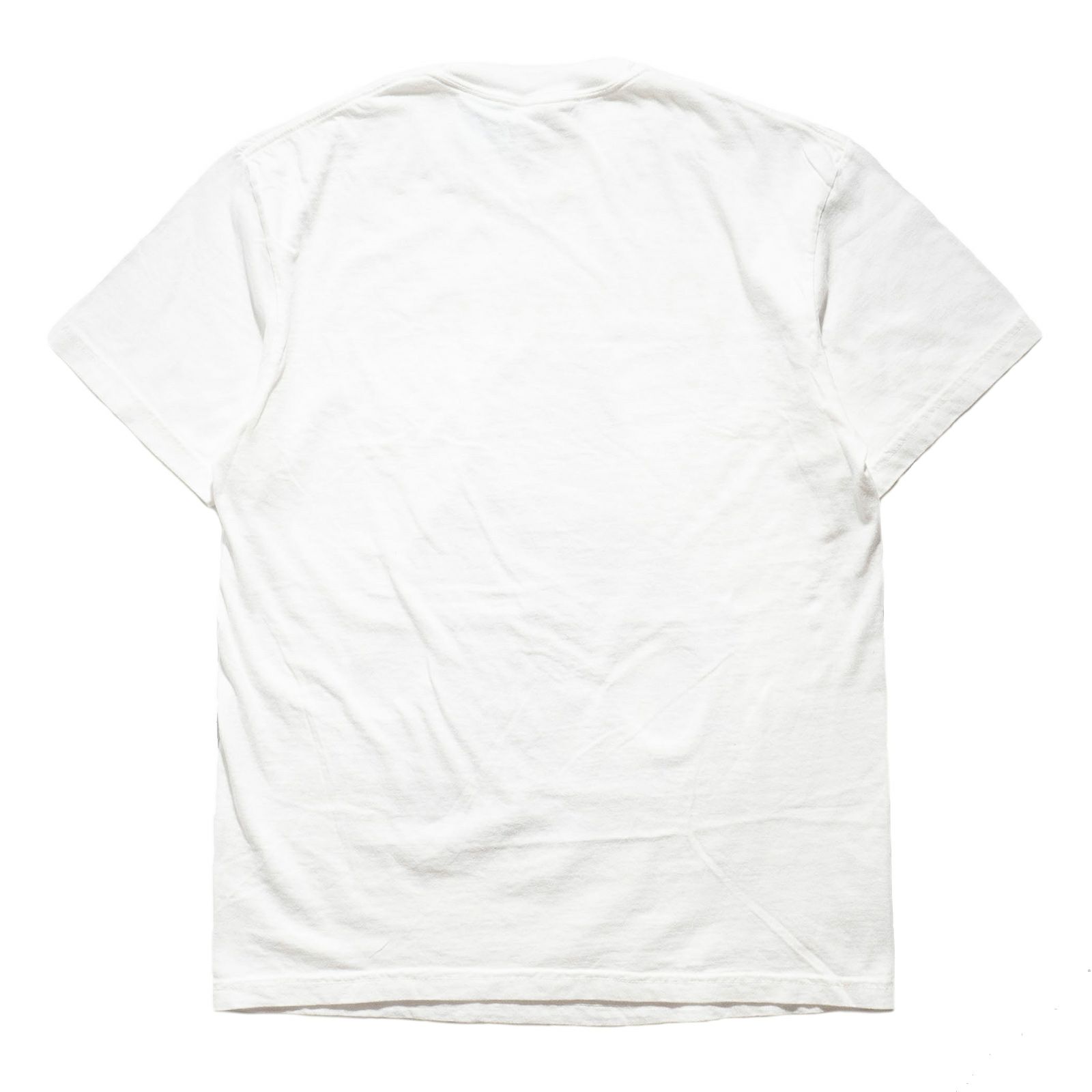 カンフーkungfu.バンドTシャツダイナソージュニアグリーンマインド