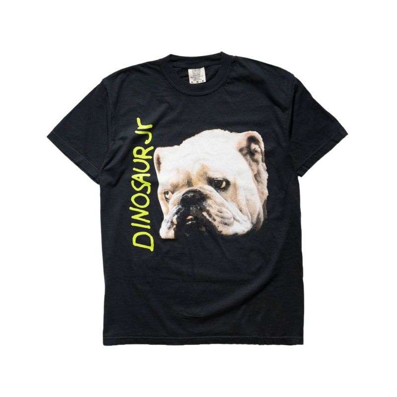 カンフーkungfu.バンドTシャツダイナソージュニアワットエバーズクールウィズミービッグサイズ
