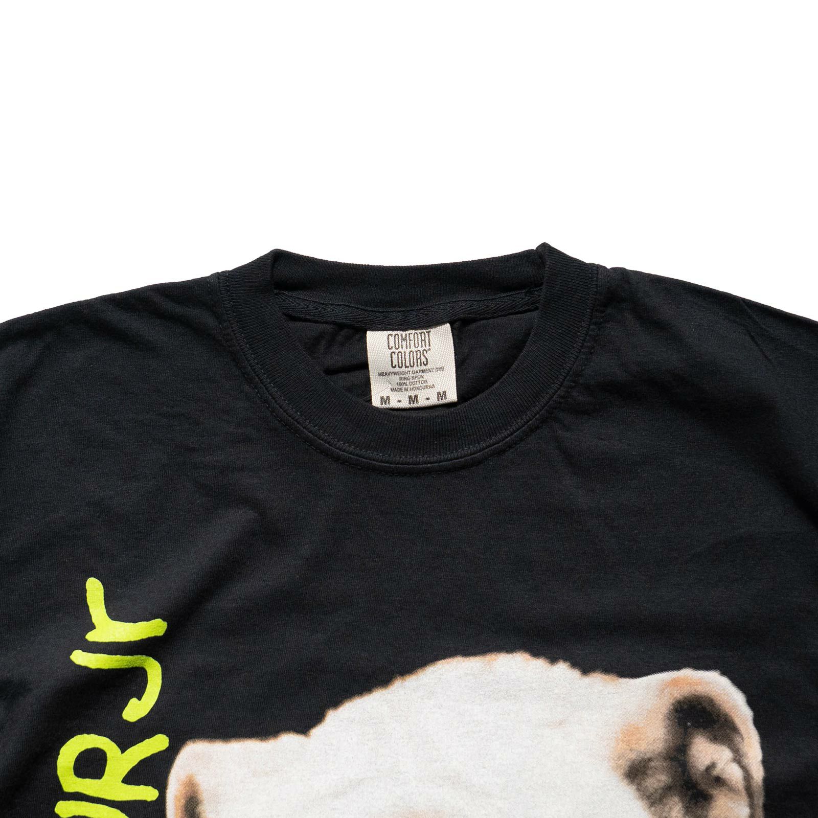 カンフーkungfu.バンドTシャツダイナソージュニアワットエバーズクールウィズミービッグサイズ