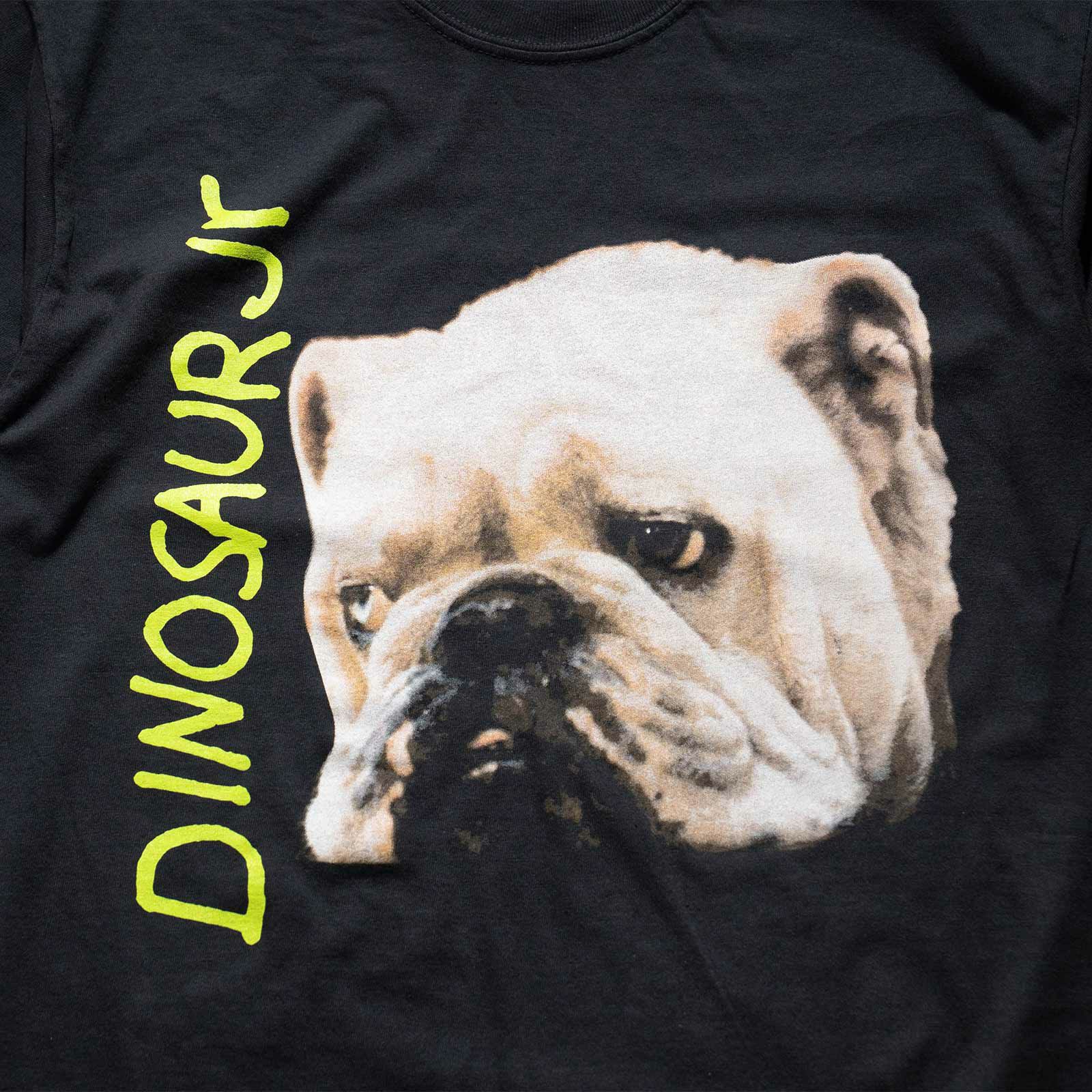 カンフーkungfu.バンドTシャツダイナソージュニアワットエバーズクールウィズミービッグサイズ